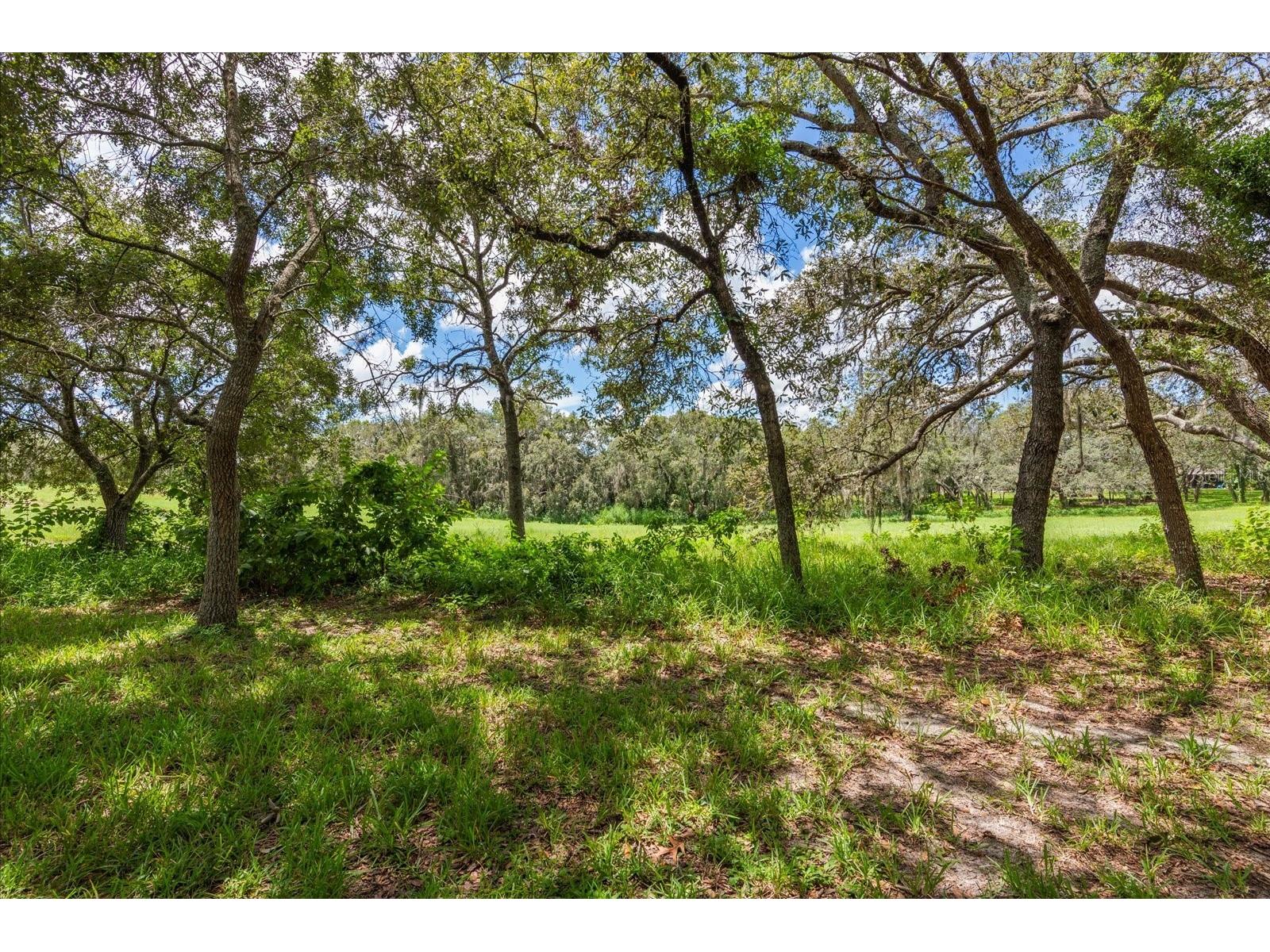 371 Quane Avenue Spring Hill FL 34609 W7880853 image45