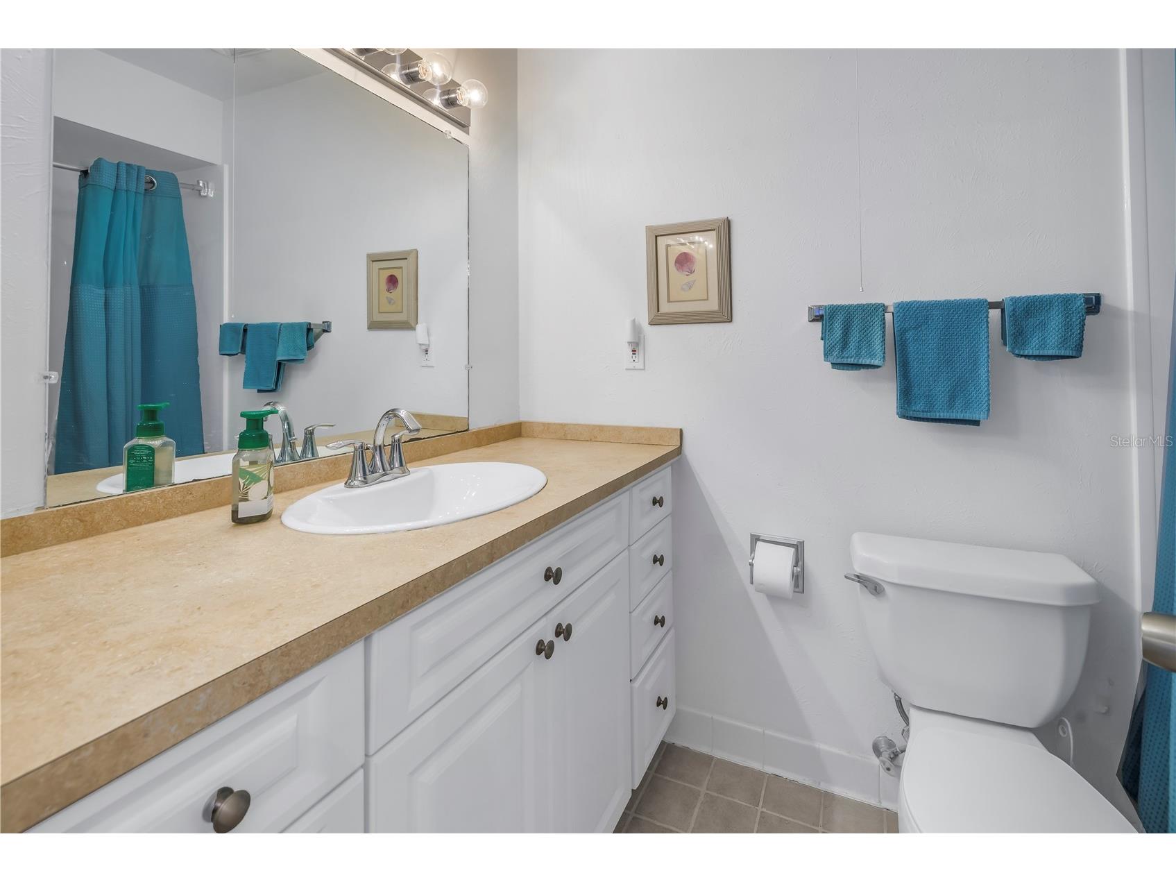 3710 41st Way S #D Saint Petersburg FL 33711 - BOCA CEIGA TB8465769 image19