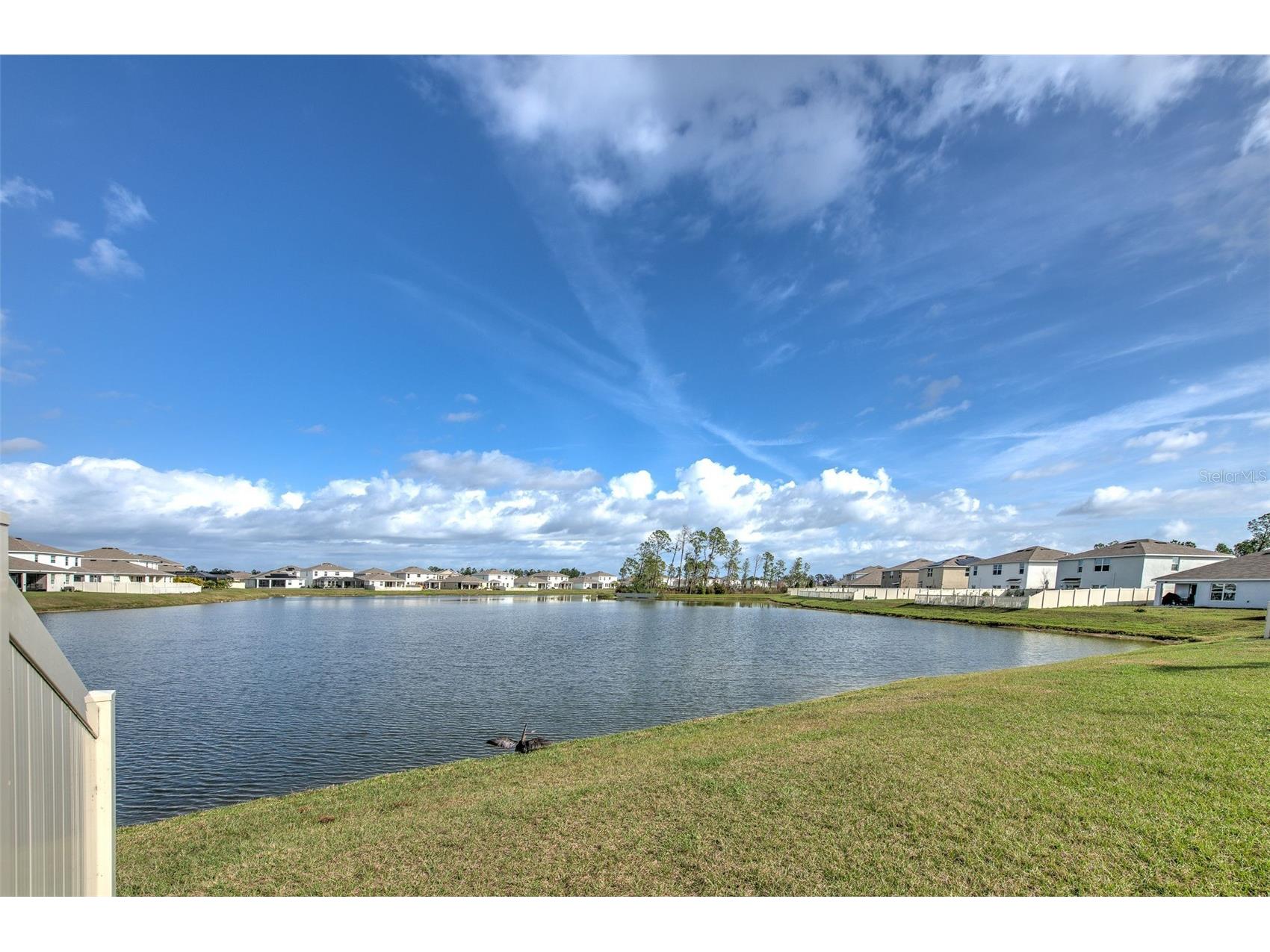 3710 Capri Coast Drive Plant City FL 33565 TB8464336 image44