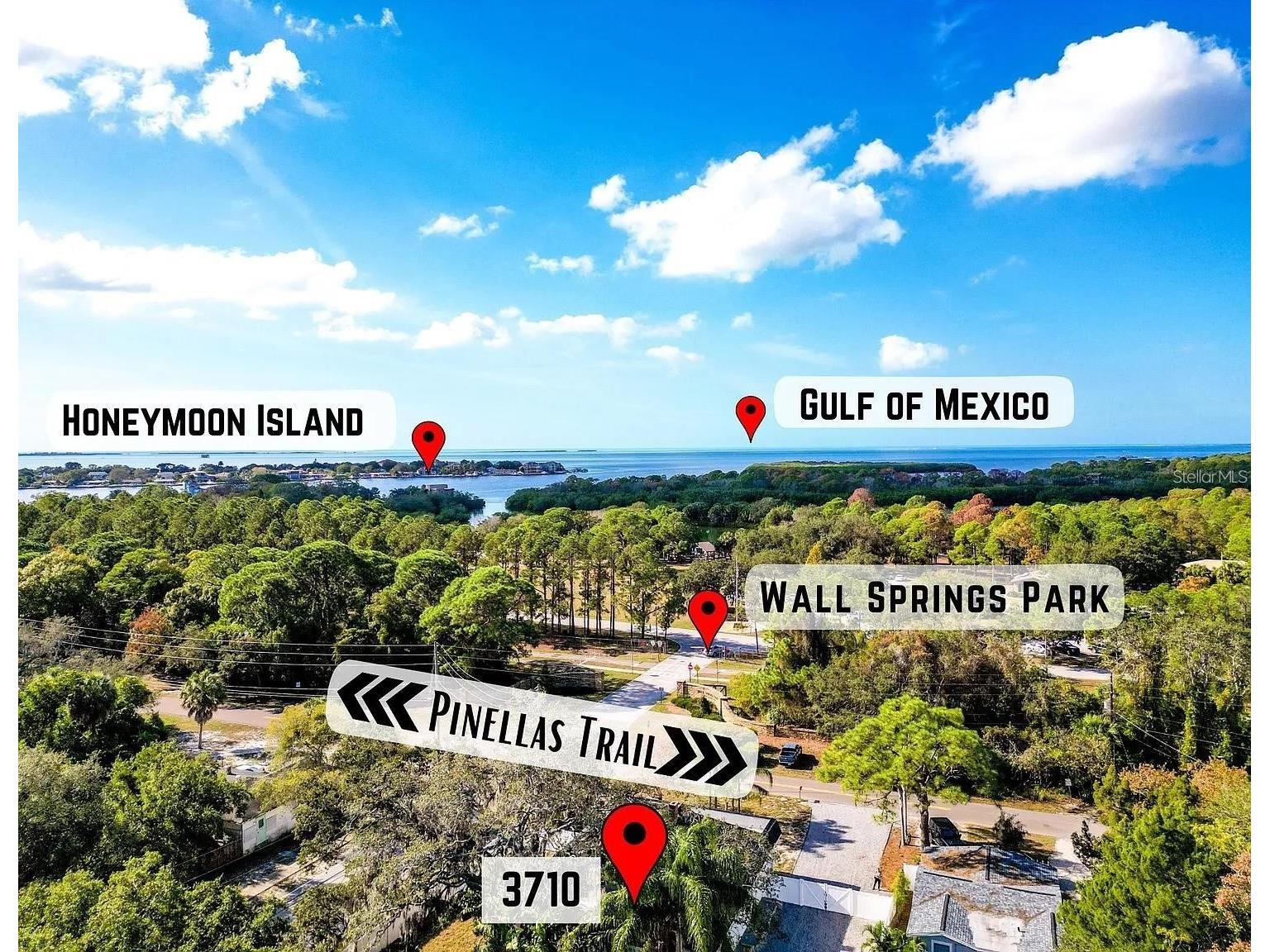 3710 De Soto Boulevard Palm Harbor FL 34683 TB8507981 image20