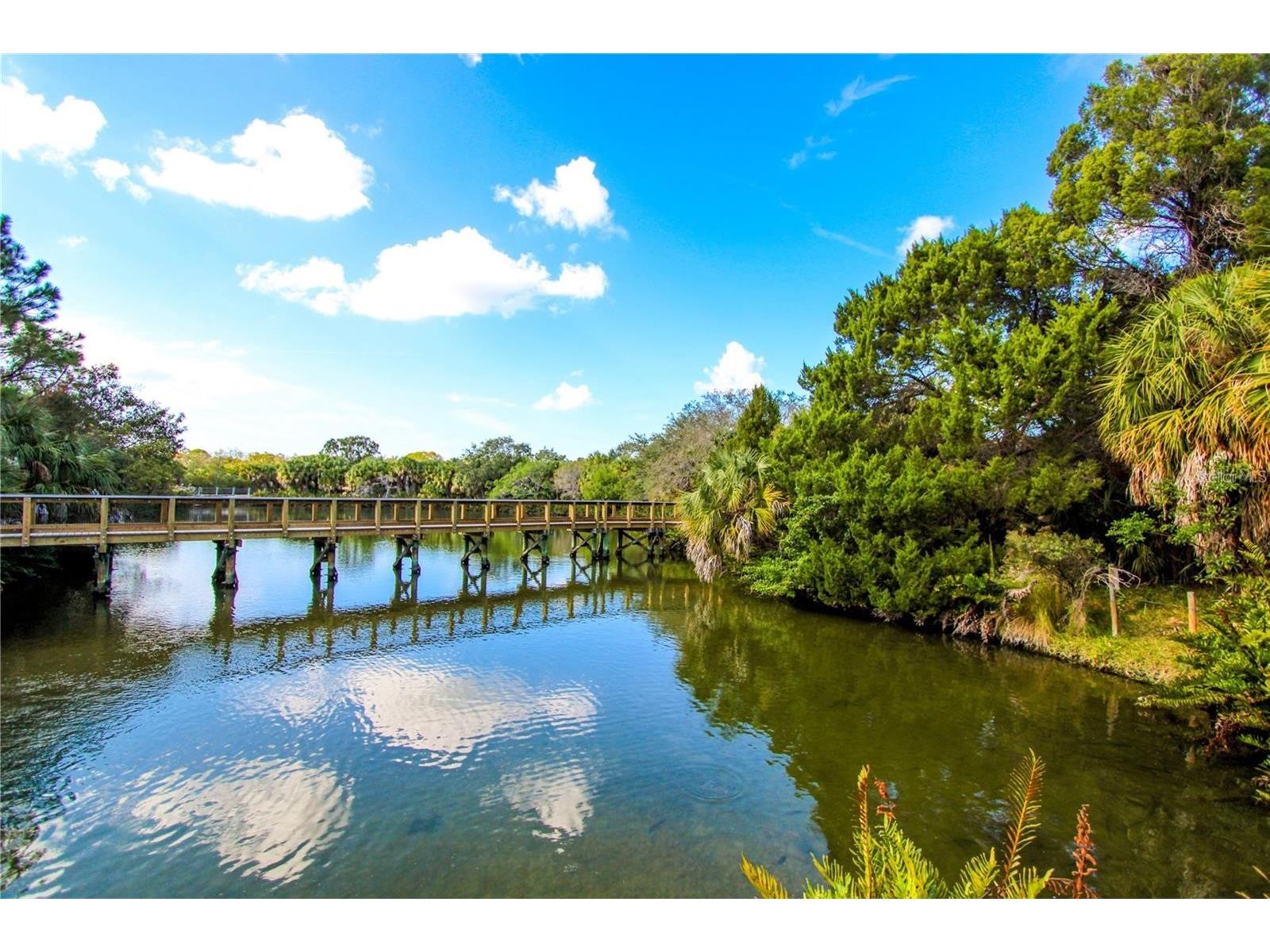 3710 De Soto Boulevard Palm Harbor FL 34683 TB8507981 image22