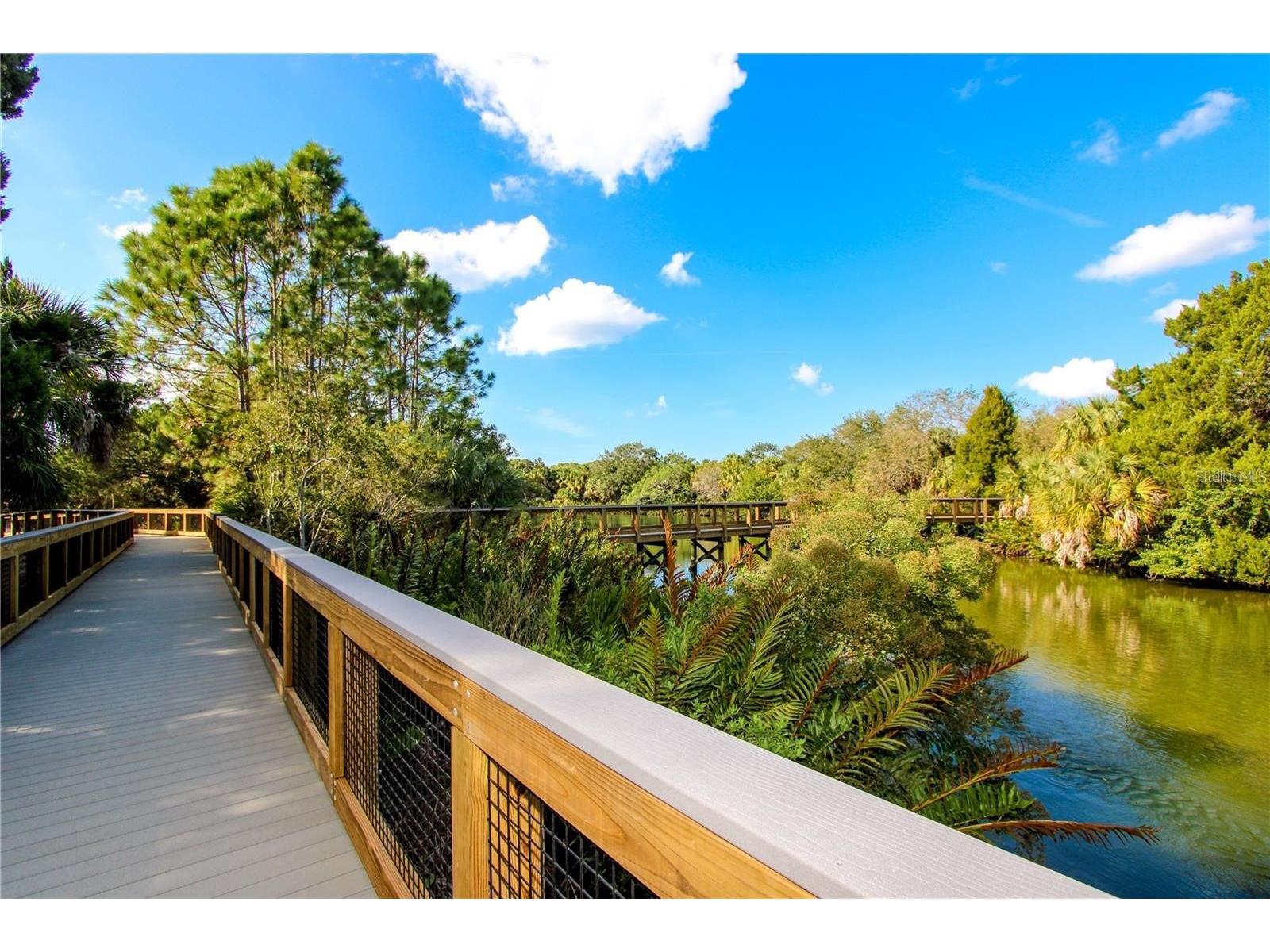 3710 De Soto Boulevard Palm Harbor FL 34683 TB8507981 image23