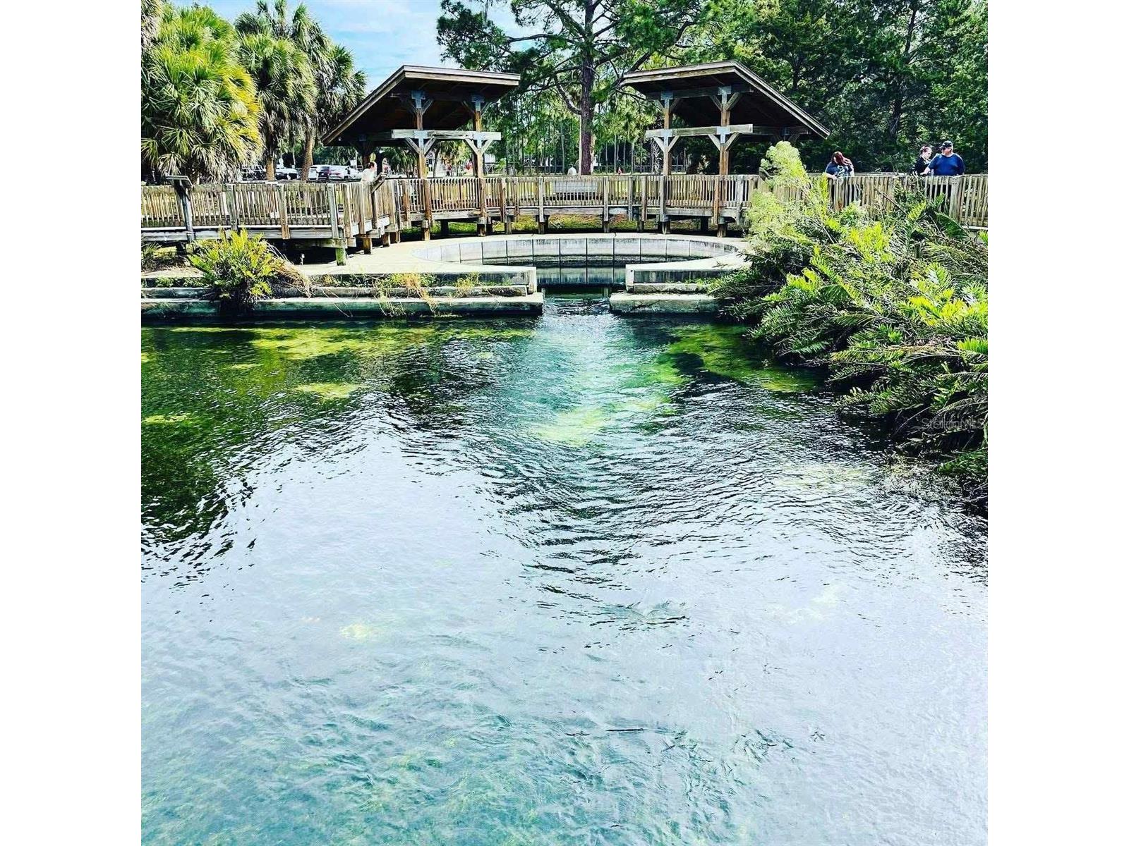 3710 De Soto Boulevard Palm Harbor FL 34683 TB8507981 image26