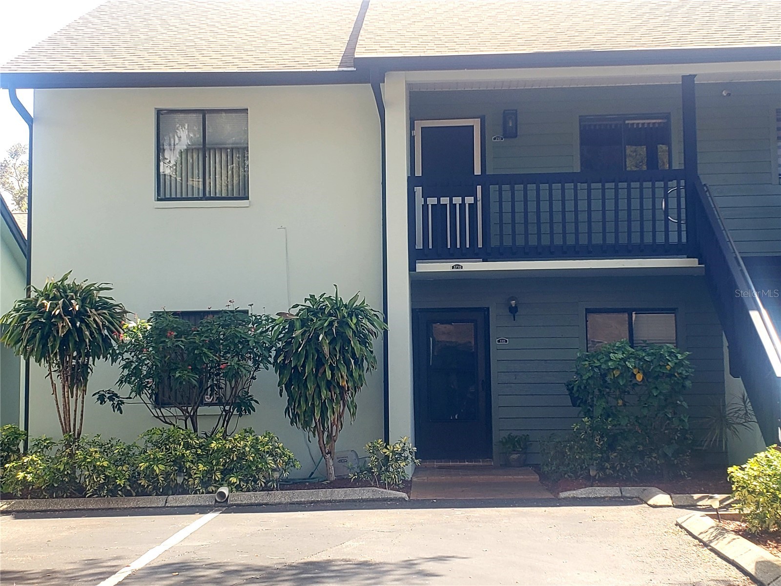 3710 Greenery Court #110 Tampa FL 33618 TB8492903 image1