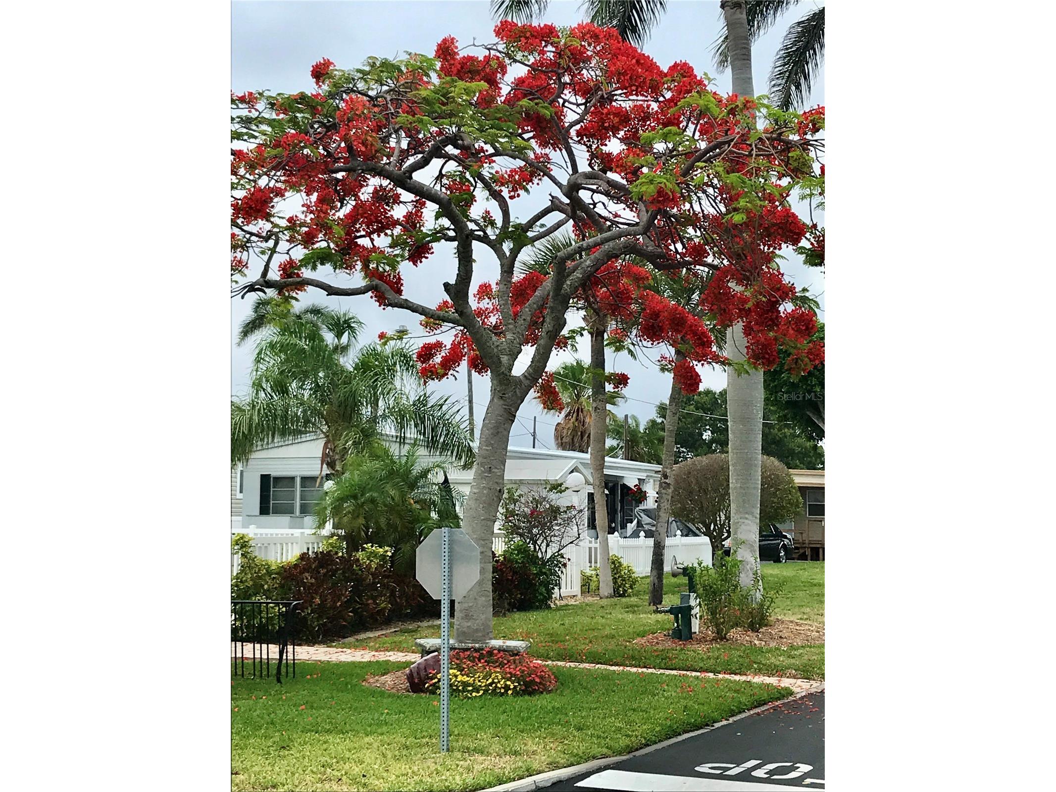 3710 Gulf Of Mexico Drive #D19 Longboat Key FL 34228 - GULF OF MEXICO & SARASOTA BAY A4634344 image13