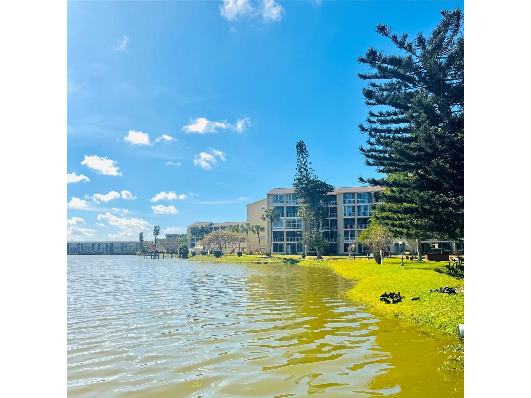 3710 Lake Bayshore Drive #K416 Bradenton FL 34205 W7883123 image28