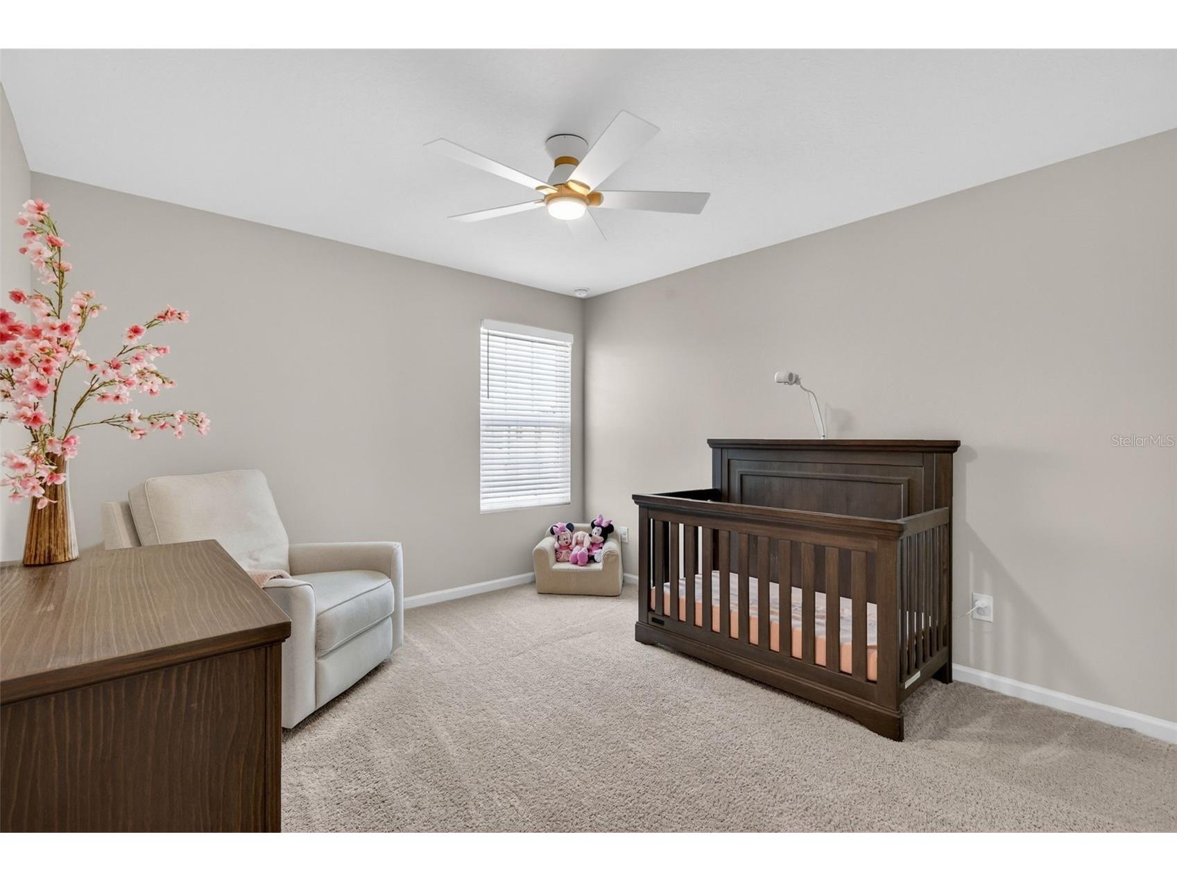 3710 Malad Way Tavares FL 32778 G5112205 image23