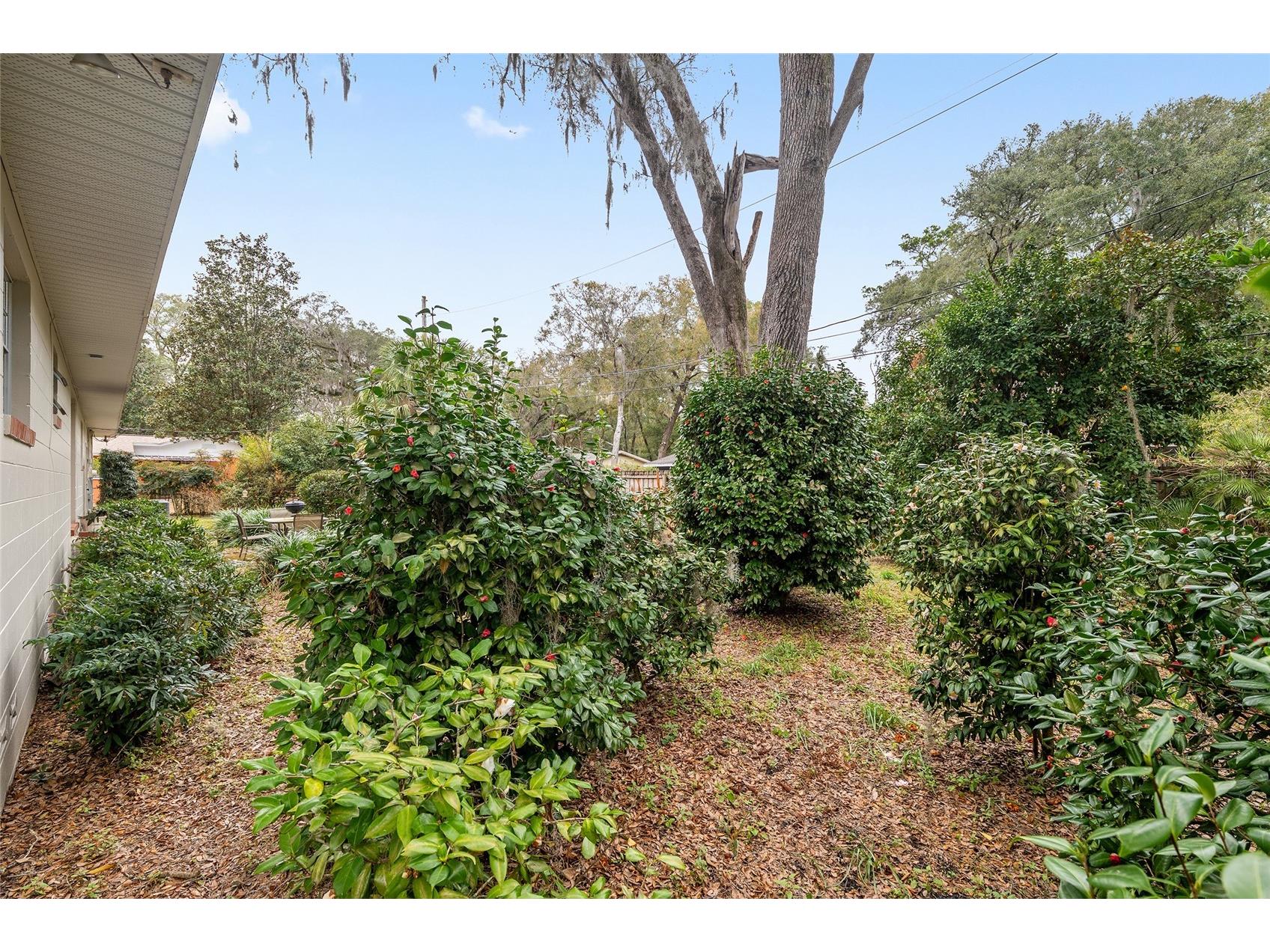 3710 NW 22nd Place Gainesville FL 32605 GC539036 image46