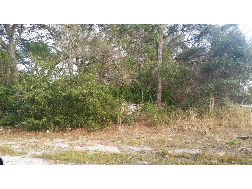 3710 Sandlor Drive Deltona FL 32738 O5344991 image1