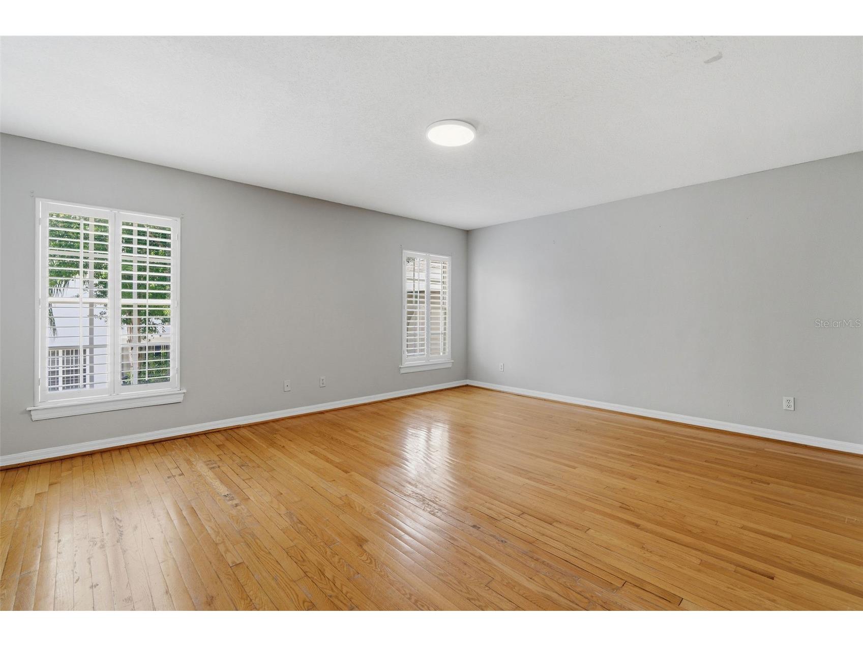 3710 W Leona Street Tampa FL 33629 TB8532124 image18