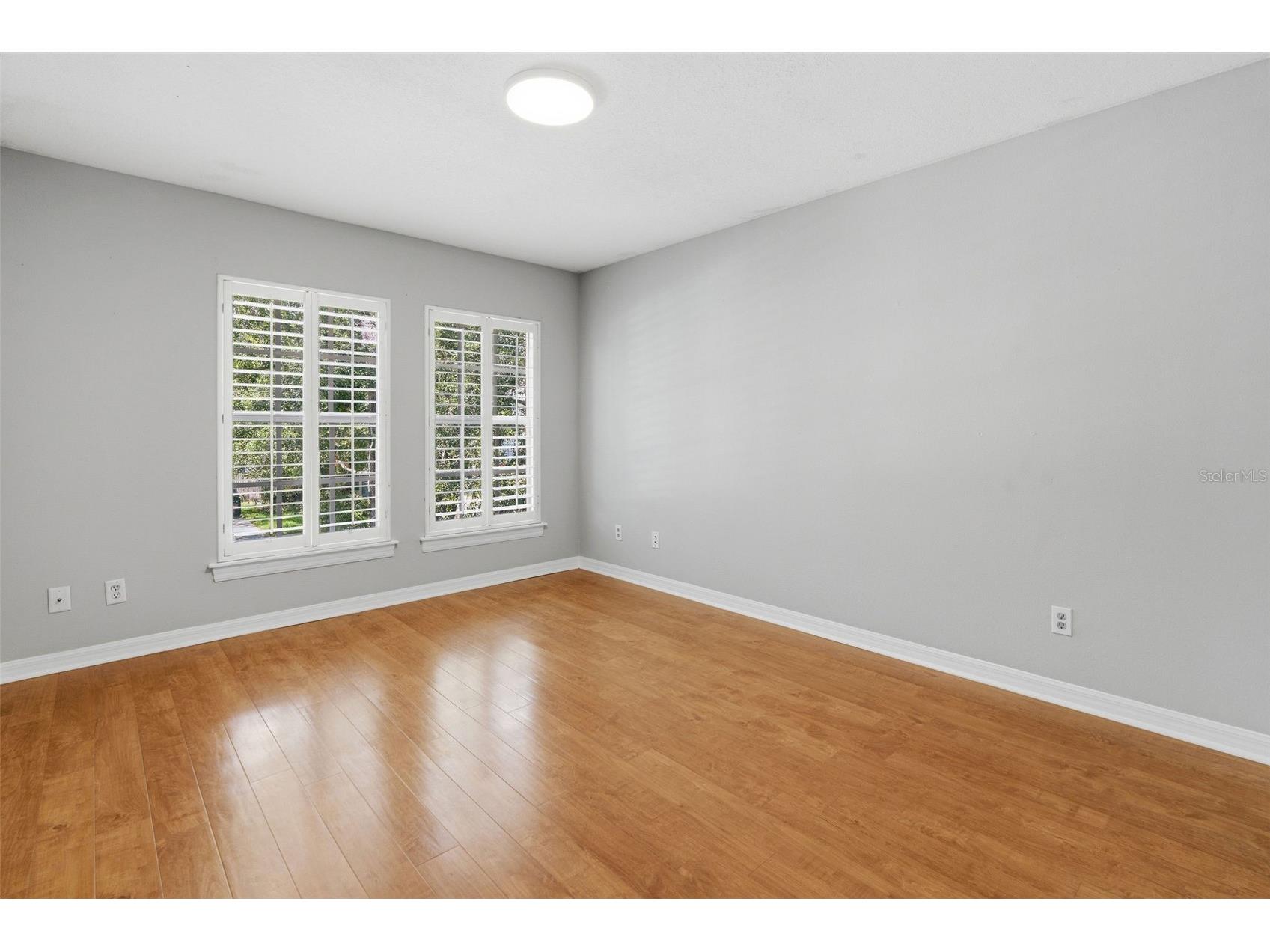3710 W Leona Street Tampa FL 33629 TB8532124 image22