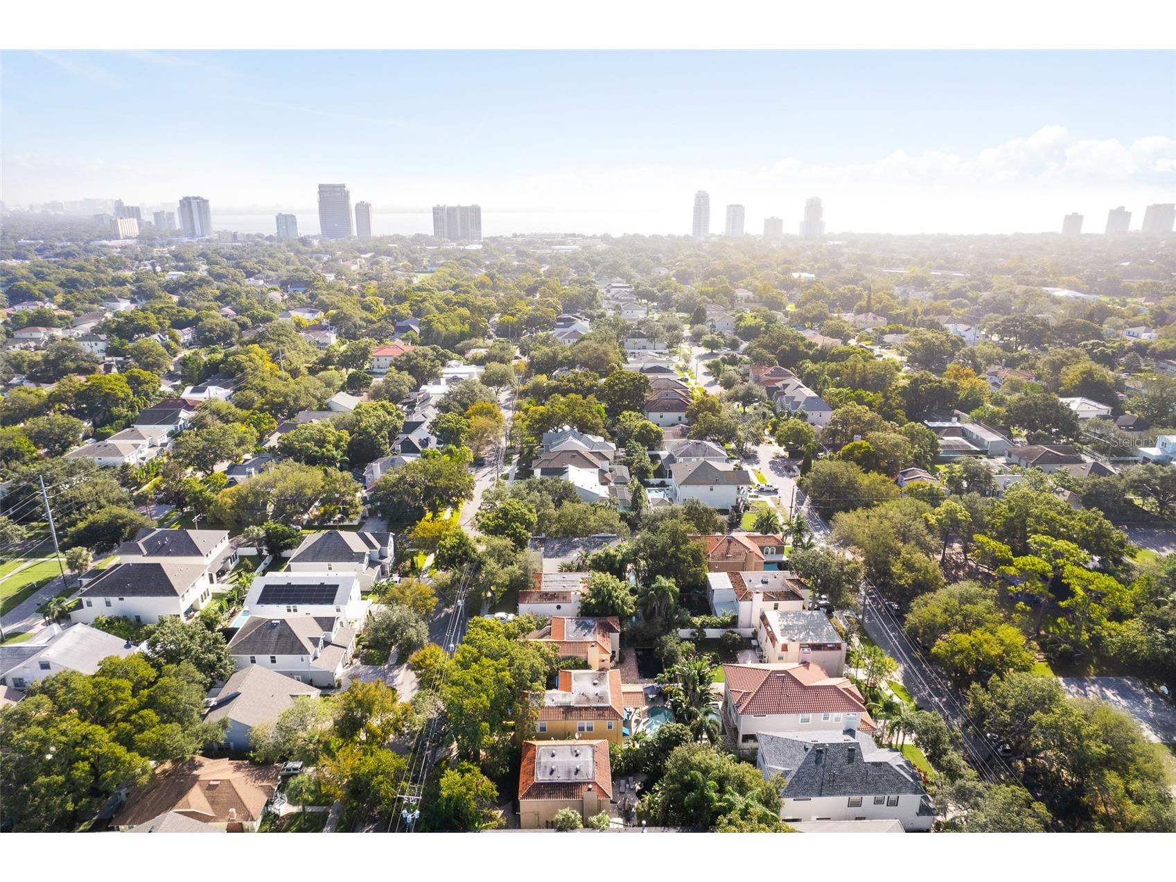 3710 W Leona Street Tampa FL 33629 TB8532124 image29