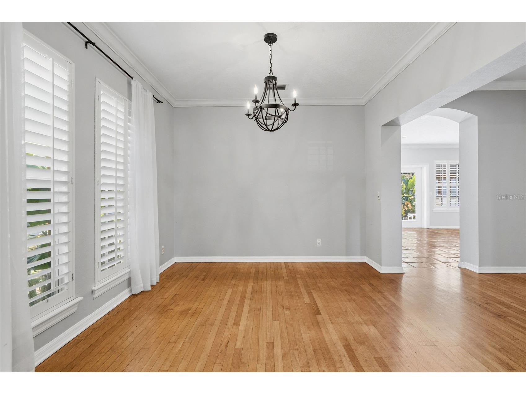 3710 W Leona Street Tampa FL 33629 TB8532124 image7