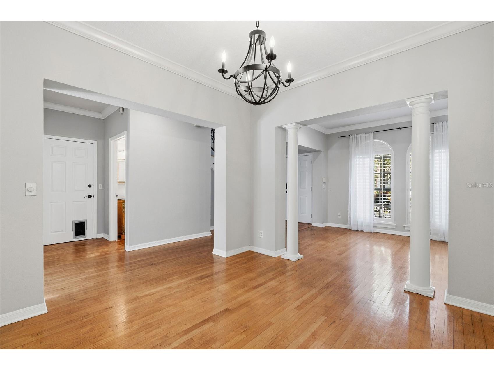 3710 W Leona Street Tampa FL 33629 TB8532124 image8