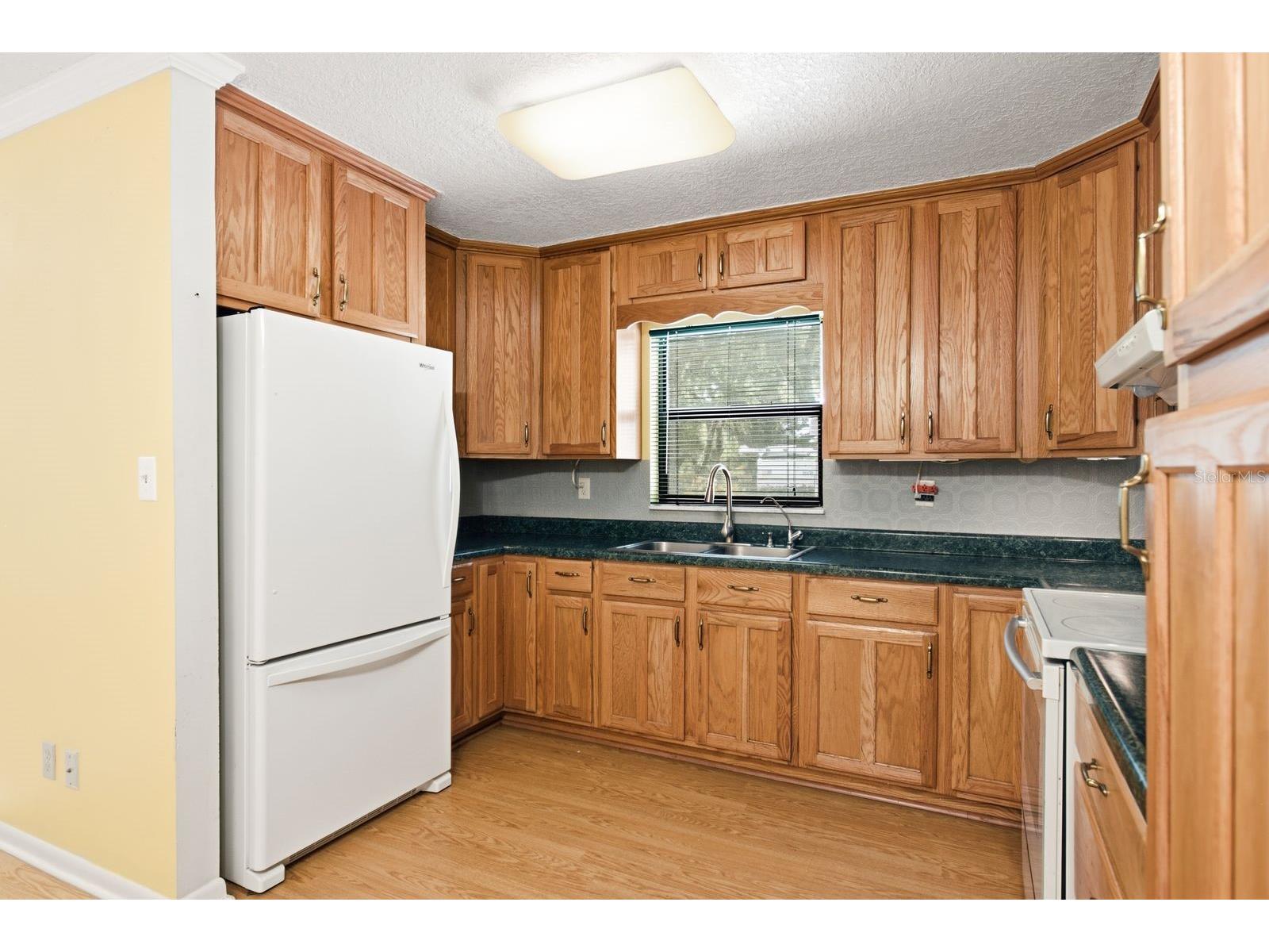 37107 Bailey Hill Drive Dade City FL 33525 W7887595 image11
