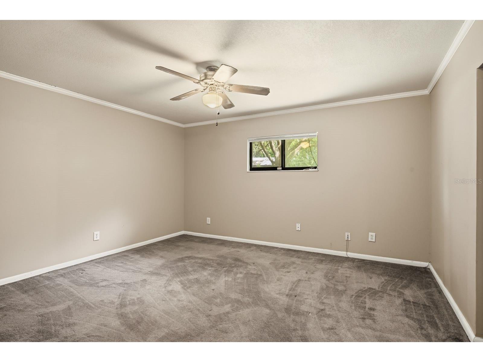 37107 Bailey Hill Drive Dade City FL 33525 W7887595 image17