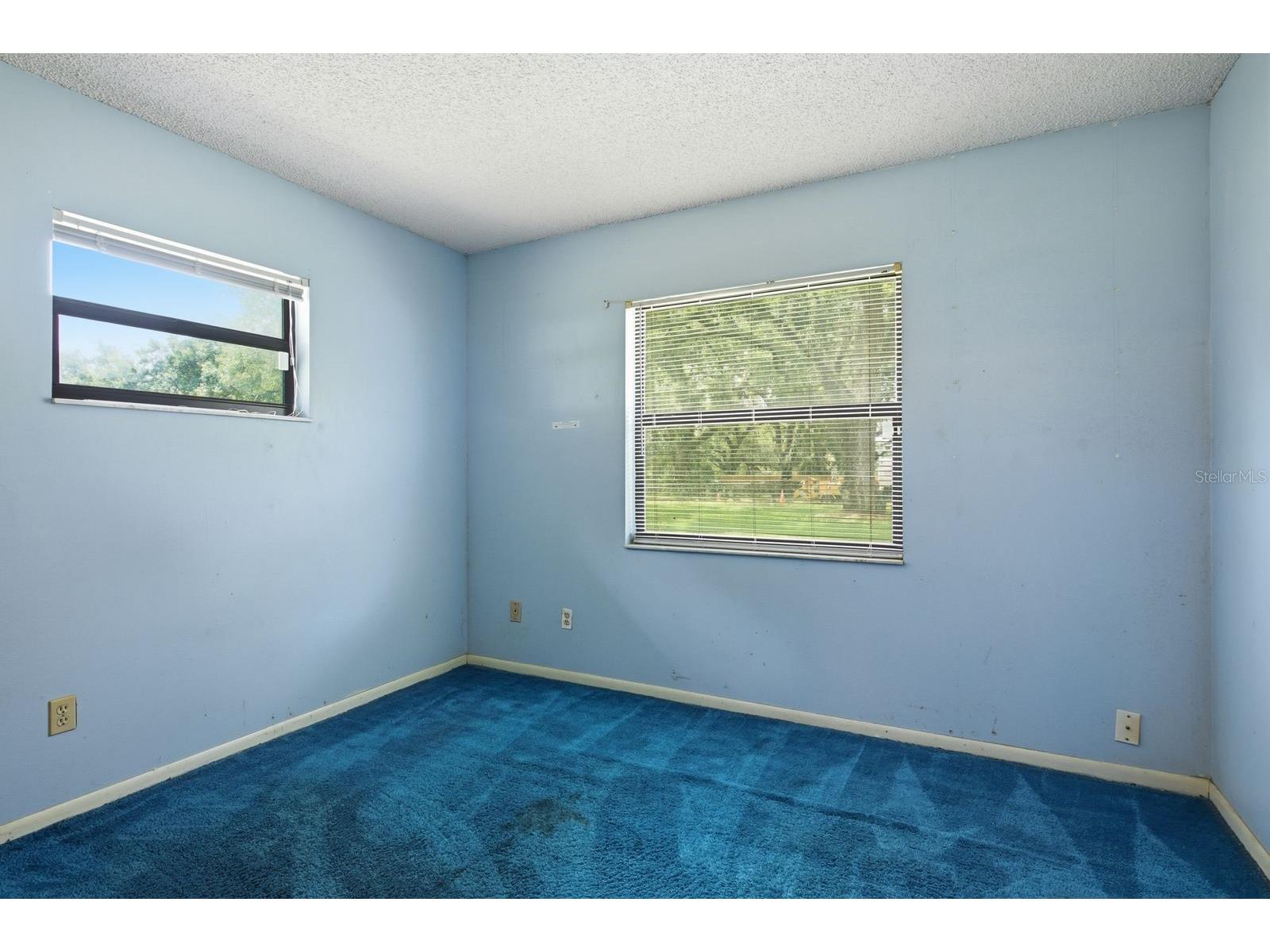 37107 Bailey Hill Drive Dade City FL 33525 W7887595 image21