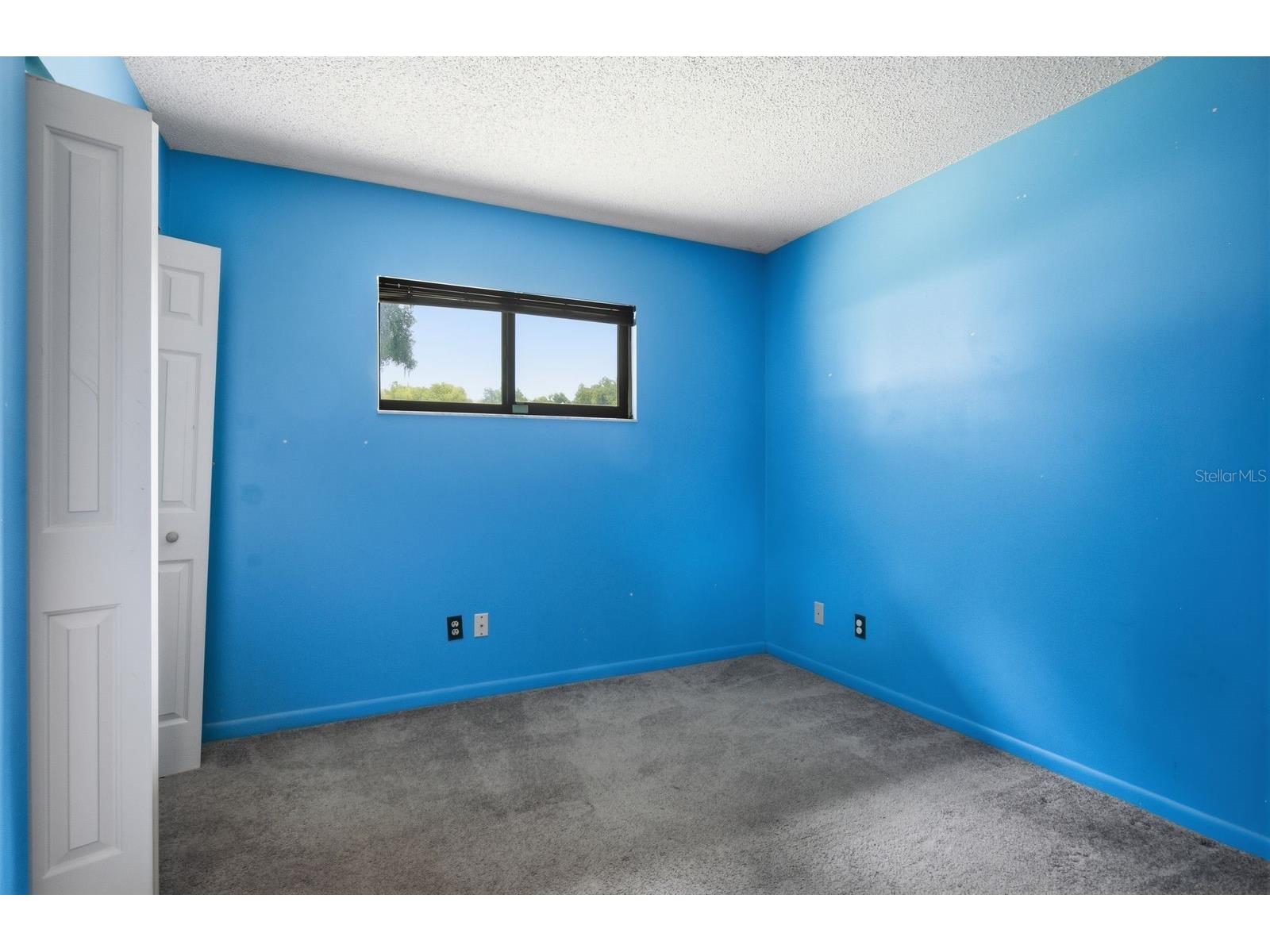 37107 Bailey Hill Drive Dade City FL 33525 W7887595 image23