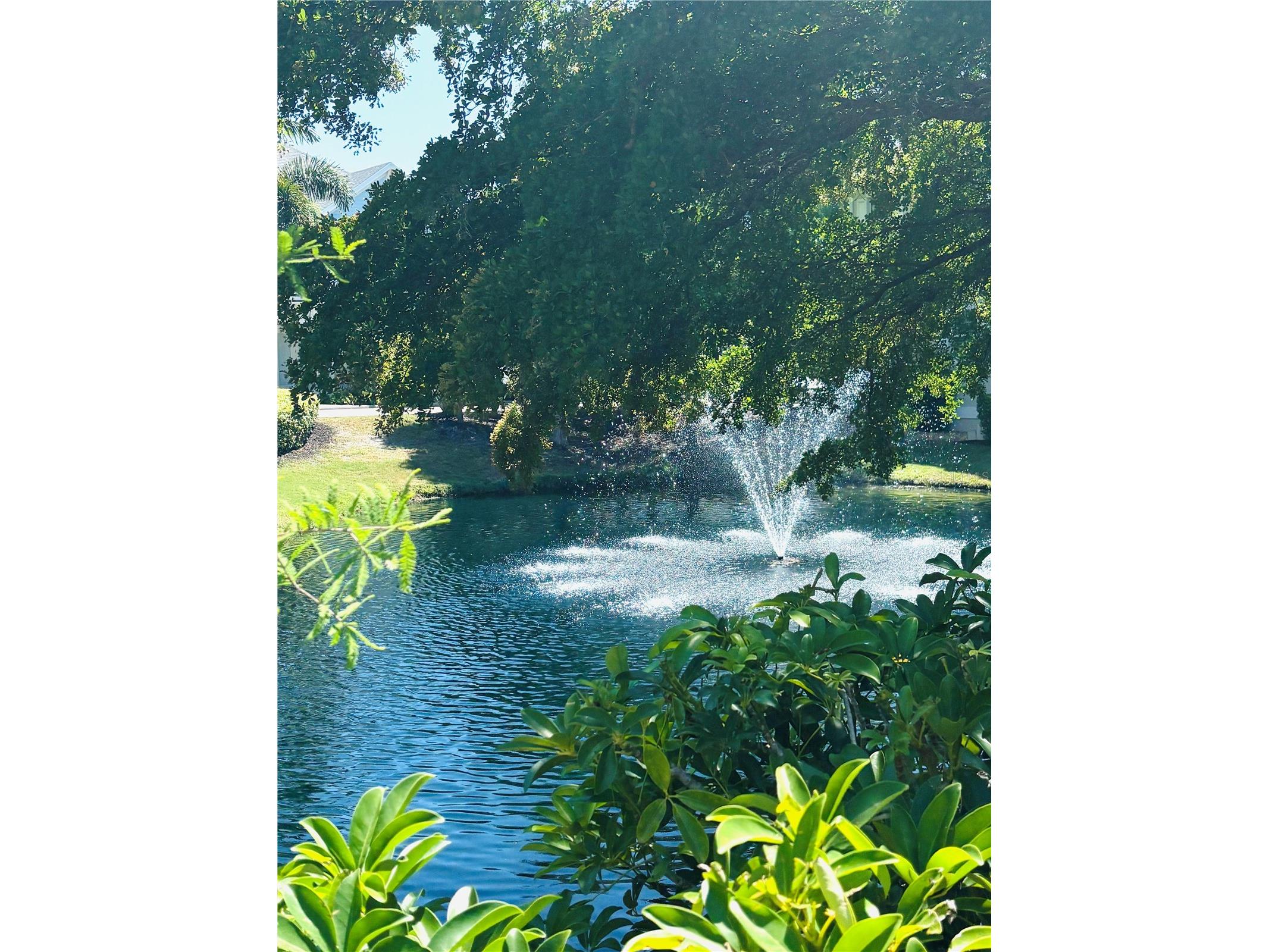 3711 Almeria Avenue #3N Sarasota FL 34239 A4693862 image22