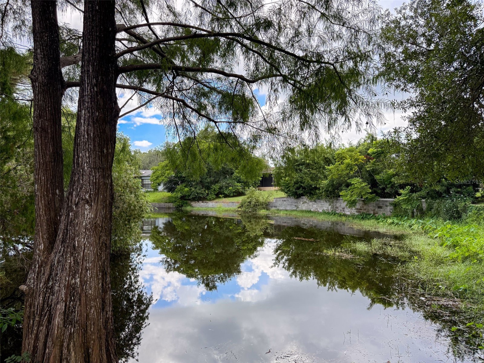 3711 Erin Brook Dr New Port Richey FL 34655 O6414316 image2