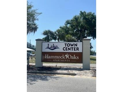 3711 Lake Center Drive Mount Dora FL 32757 G5096988 image2