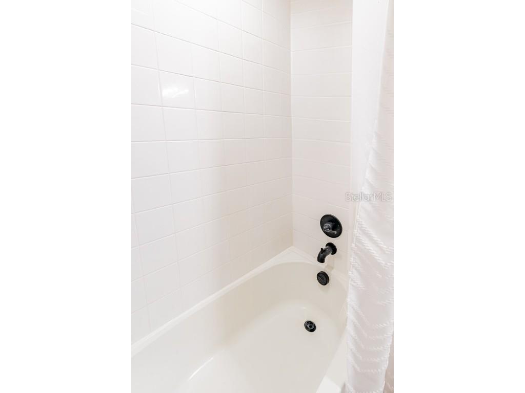 3711 Malad Way Tavares FL 32778 O6328334 image52