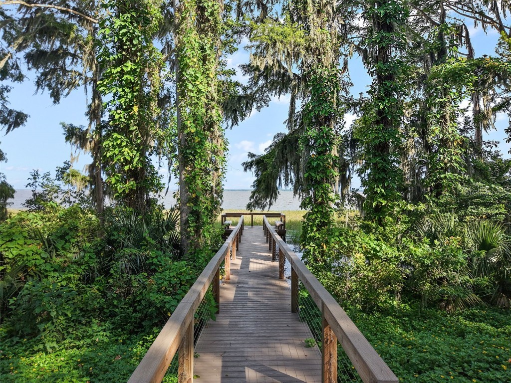 3711 Malad Way Tavares FL 32778 O6328334 image69