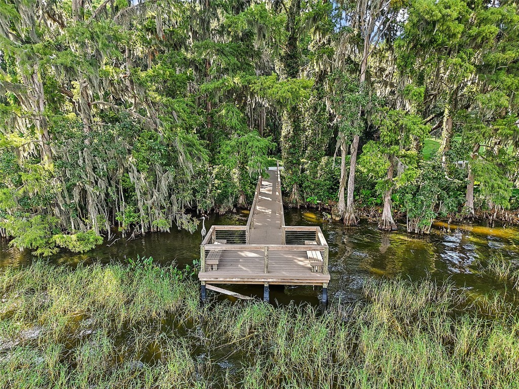 3711 Malad Way Tavares FL 32778 O6328334 image71