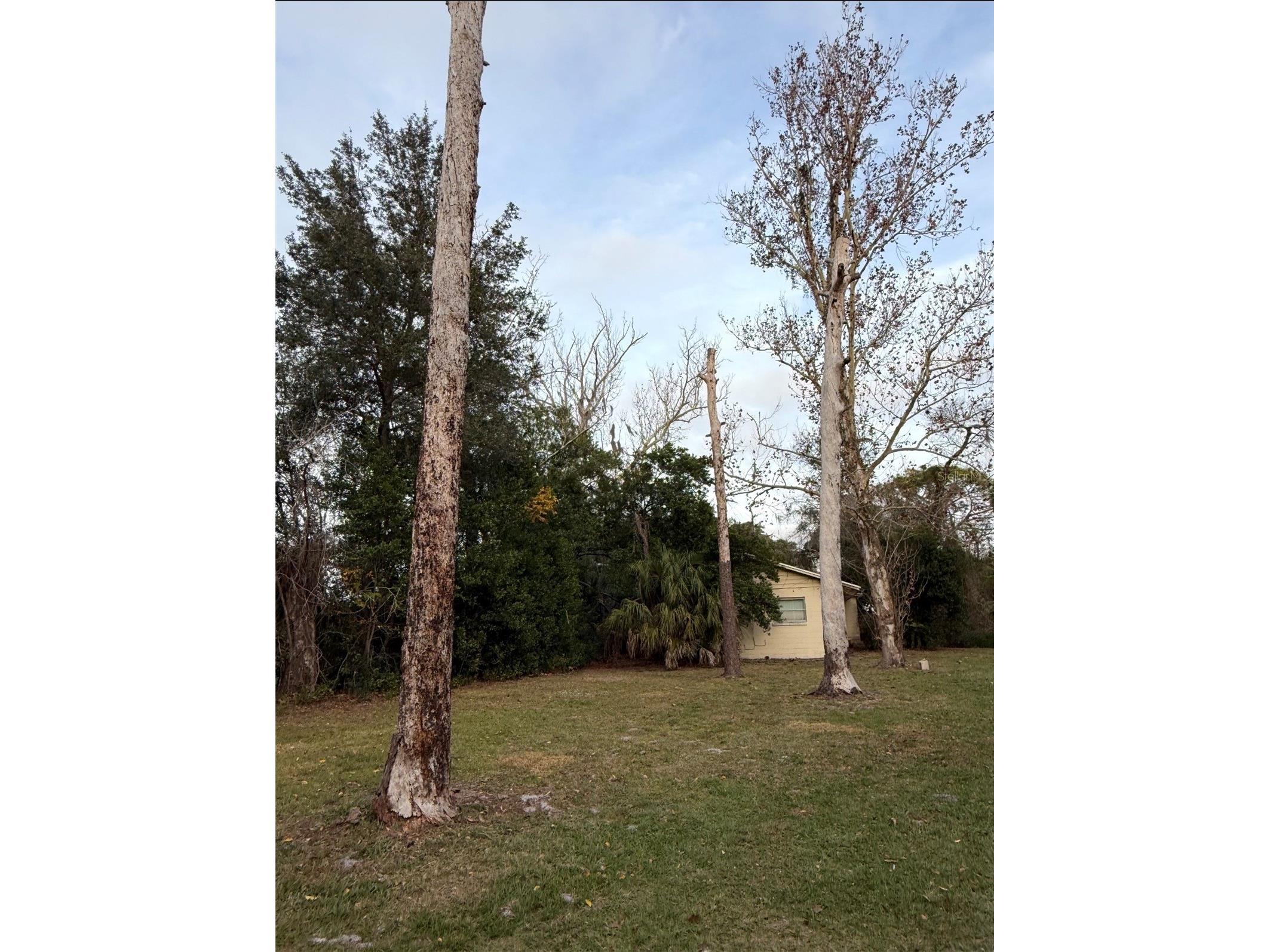 3711 N Ronald Reagan Boulevard Longwood FL 32750 O6376159 image4