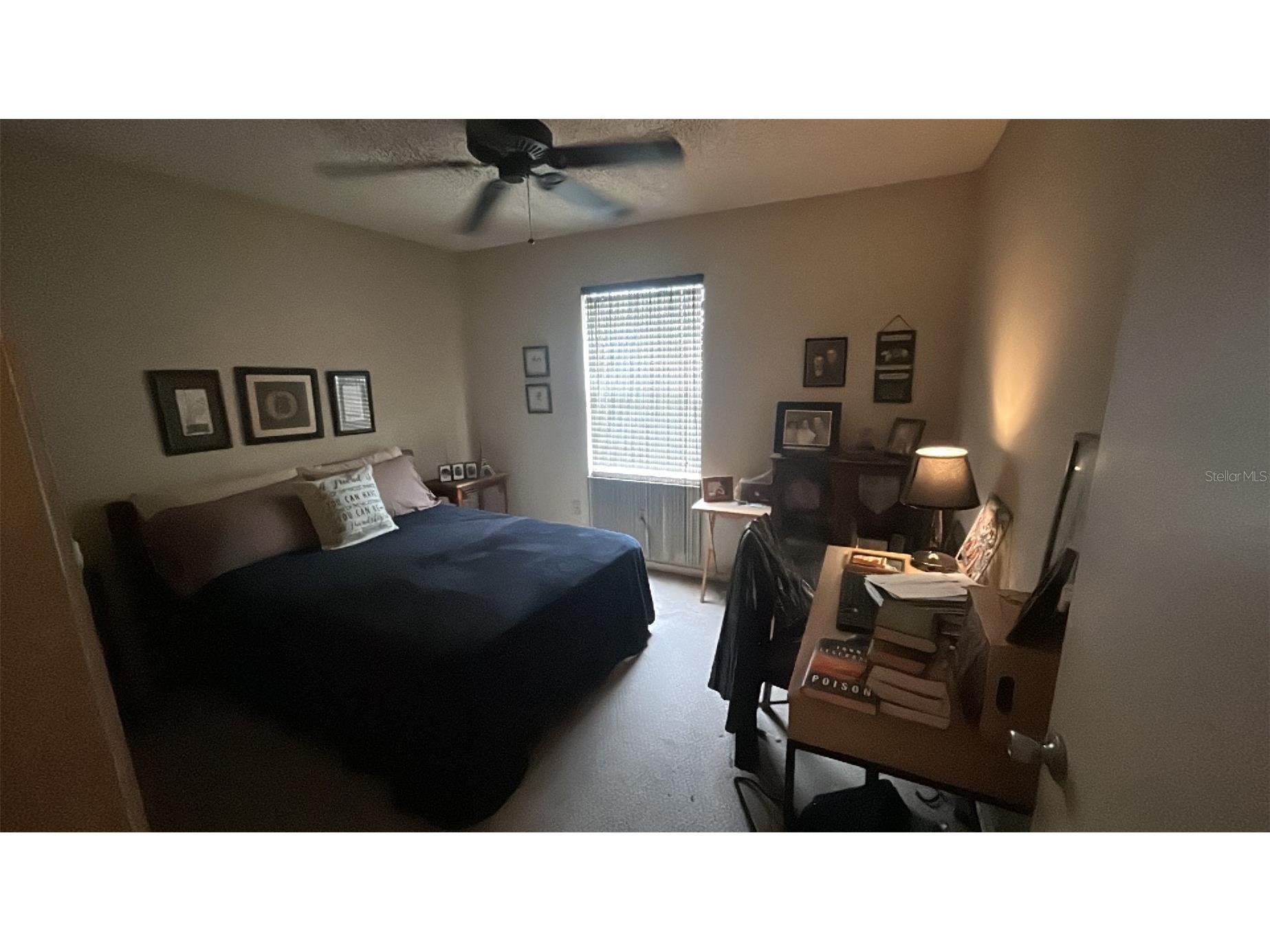 3711 W Iowa Avenue #115 Tampa FL 33611 TB8495764 image4