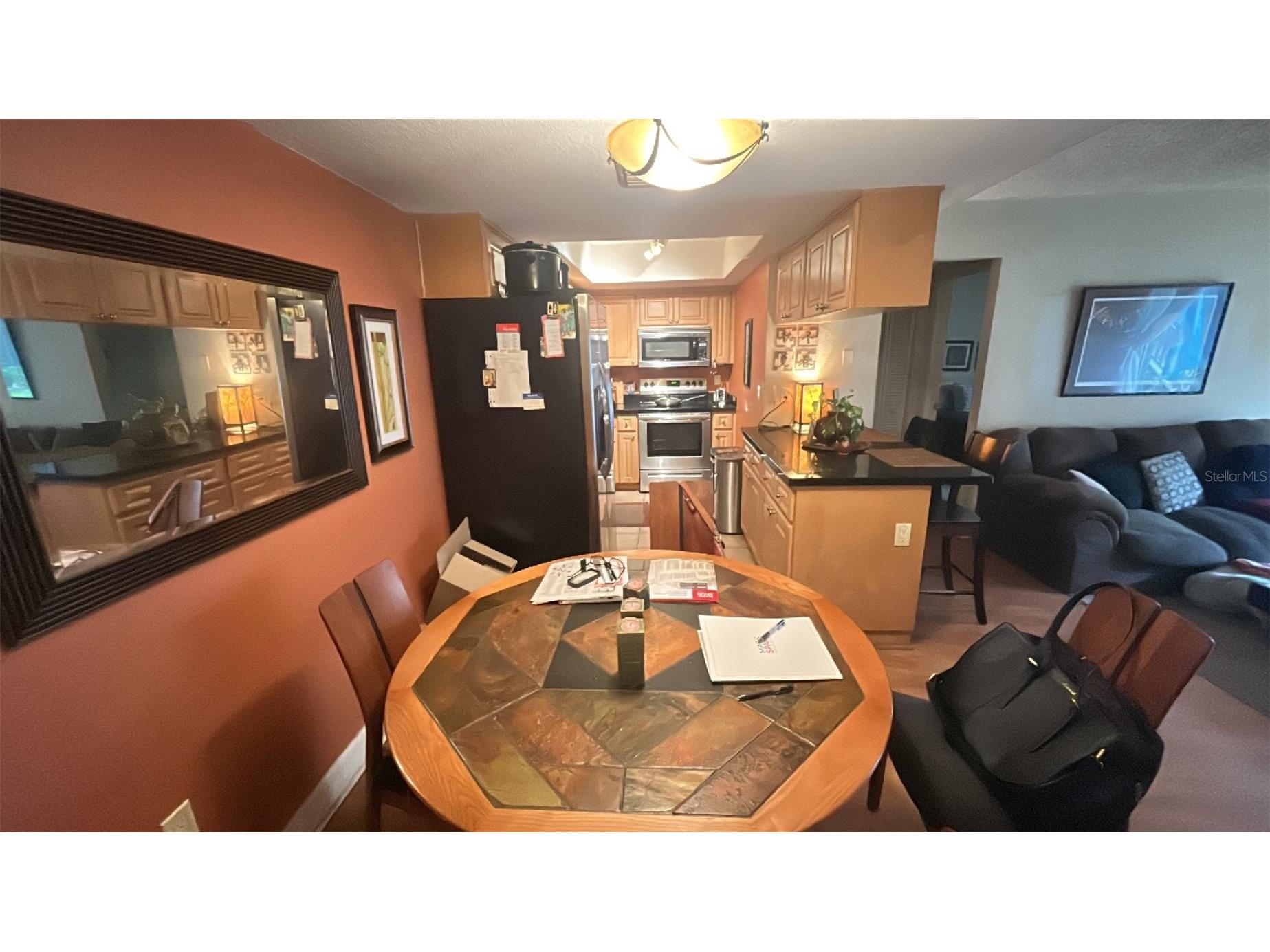 3711 W Iowa Avenue #115 Tampa FL 33611 TB8495764 image5