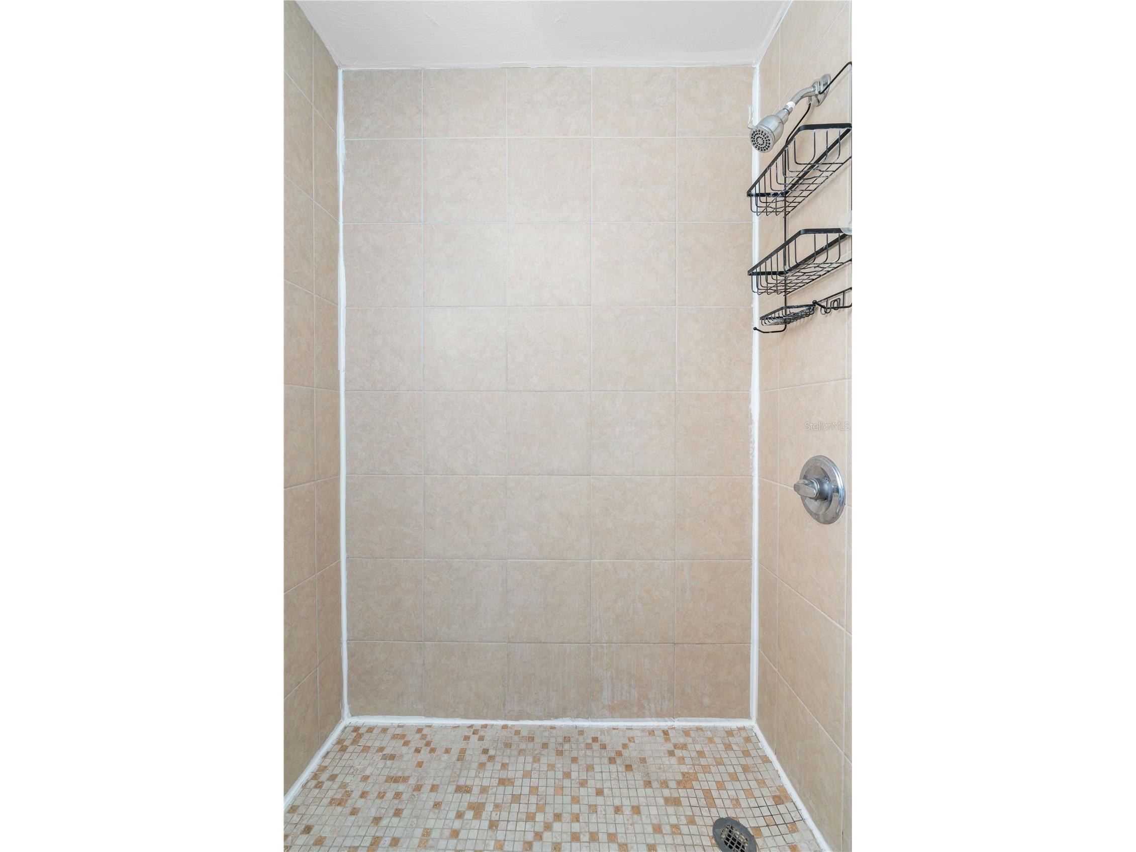 3711 W Leila Avenue Tampa FL 33611 TB8507148 image23
