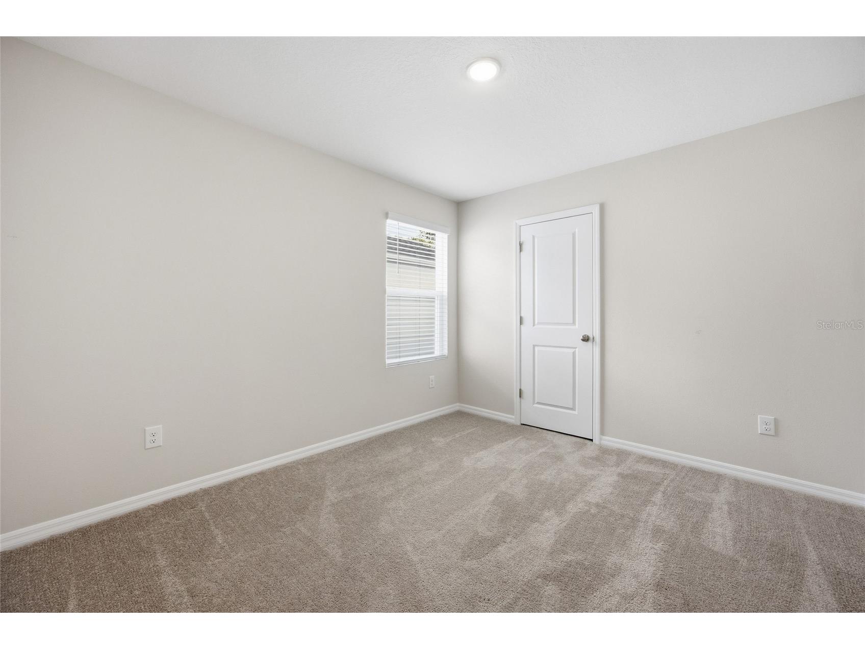 37114 Sagemoor Drive Zephyrhills FL 33541 OM725994 image30