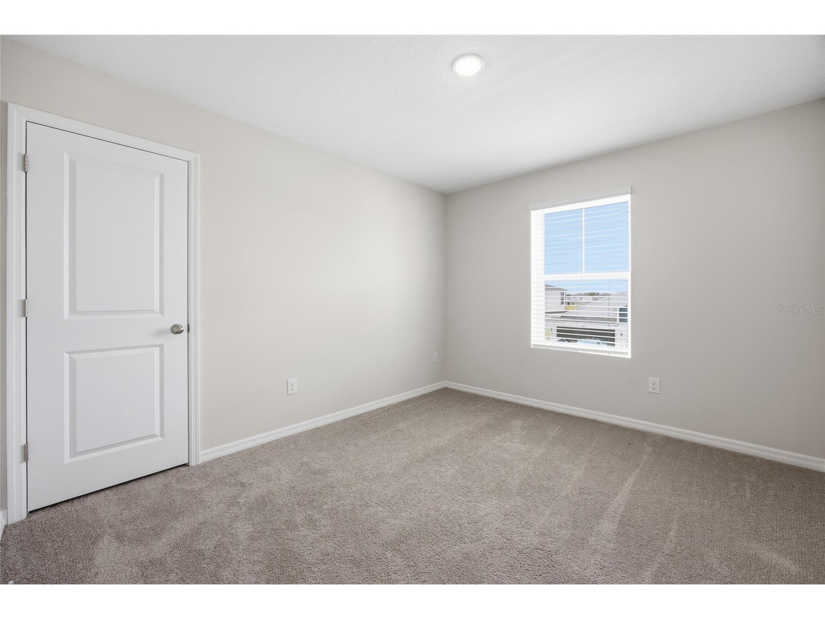 37114 Sagemoor Drive Zephyrhills FL 33541 OM725994 image36