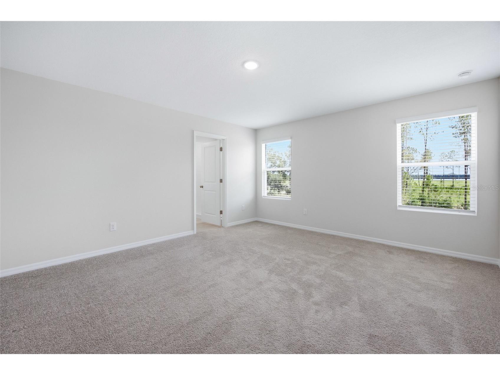 37114 Sagemoor Drive Zephyrhills FL 33541 OM725994 image38