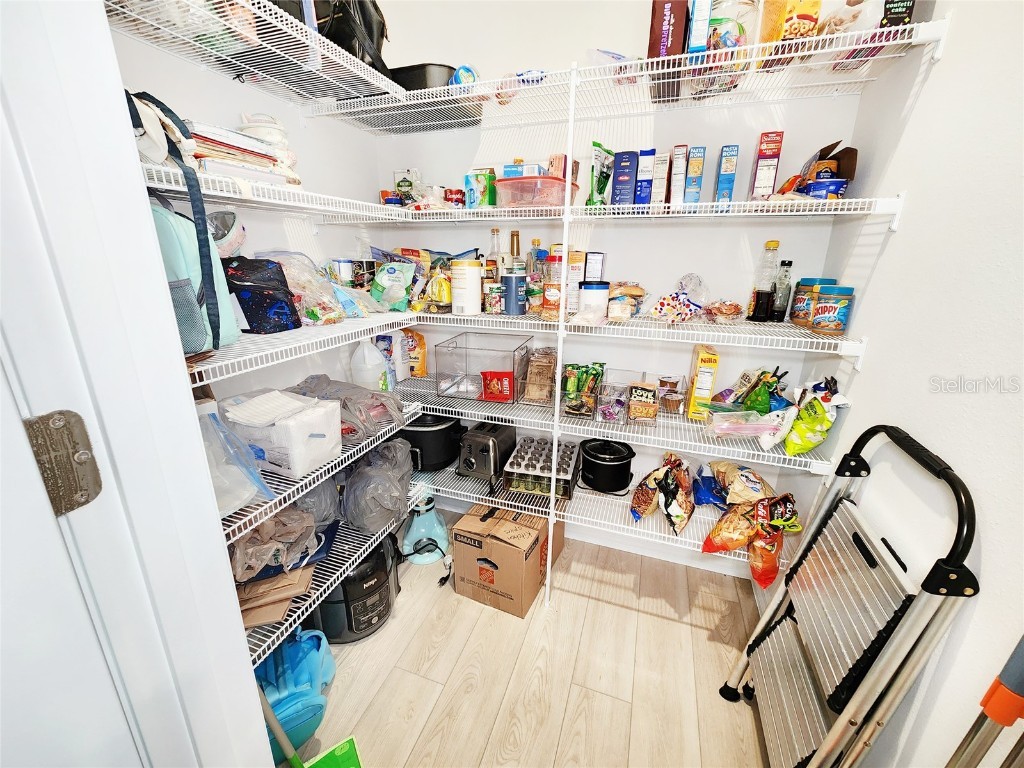 37114 Sagemoor Drive Zephyrhills FL 33541 TB8454957 image19