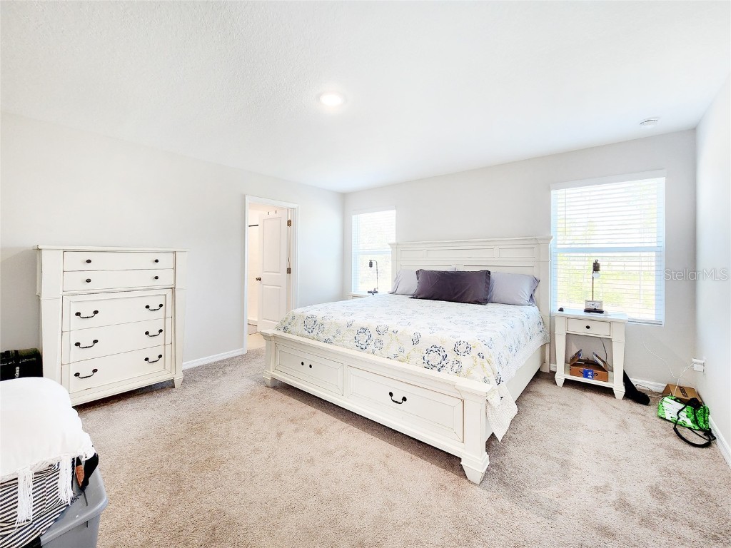 37114 Sagemoor Drive Zephyrhills FL 33541 TB8454957 image25