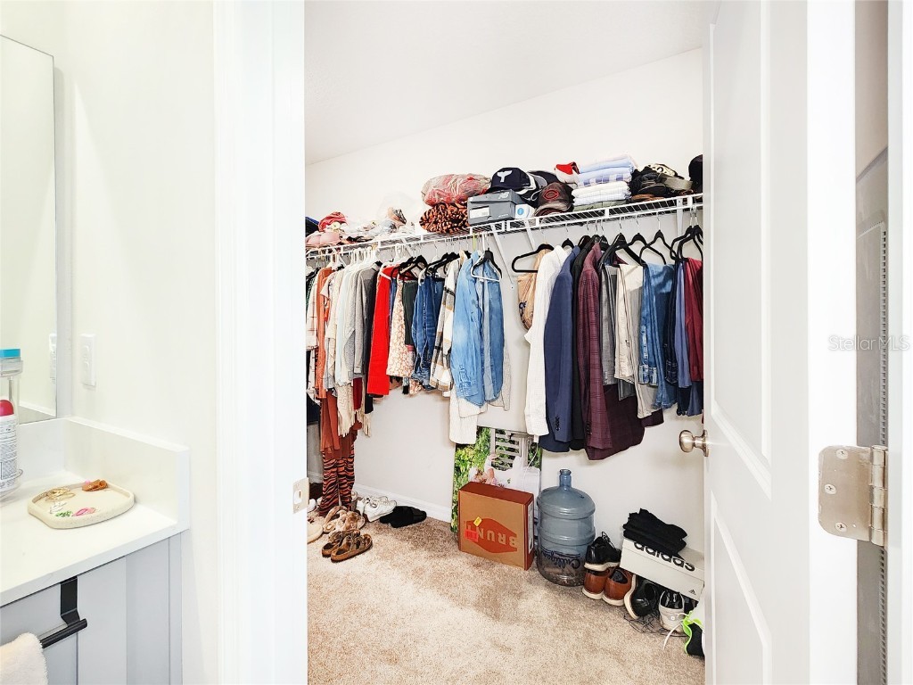 37114 Sagemoor Drive Zephyrhills FL 33541 TB8454957 image31