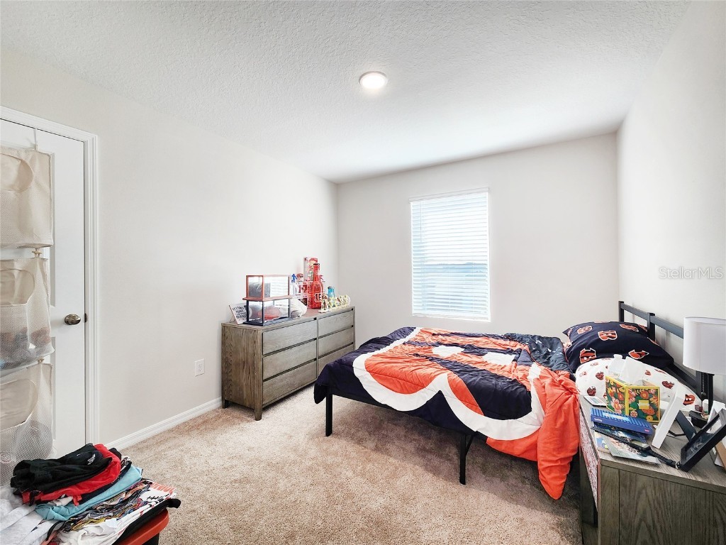 37114 Sagemoor Drive Zephyrhills FL 33541 TB8454957 image33