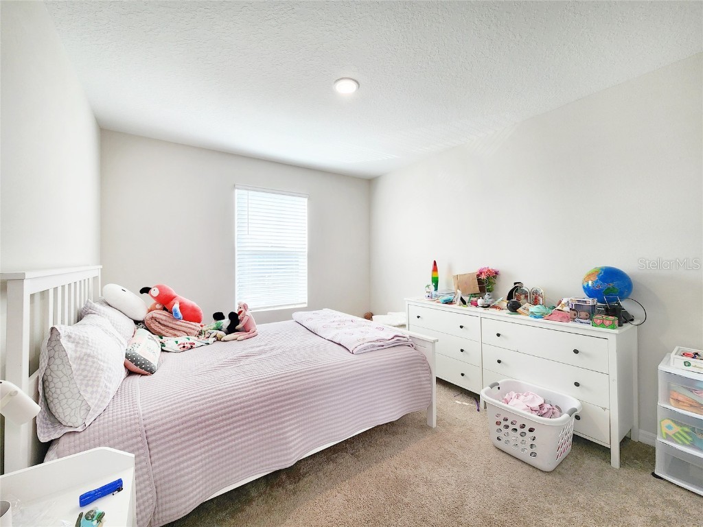 37114 Sagemoor Drive Zephyrhills FL 33541 TB8454957 image39