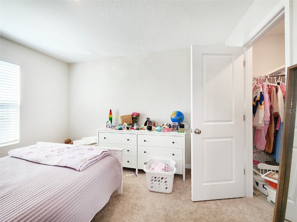 37114 Sagemoor Drive Zephyrhills FL 33541 TB8454957 image40