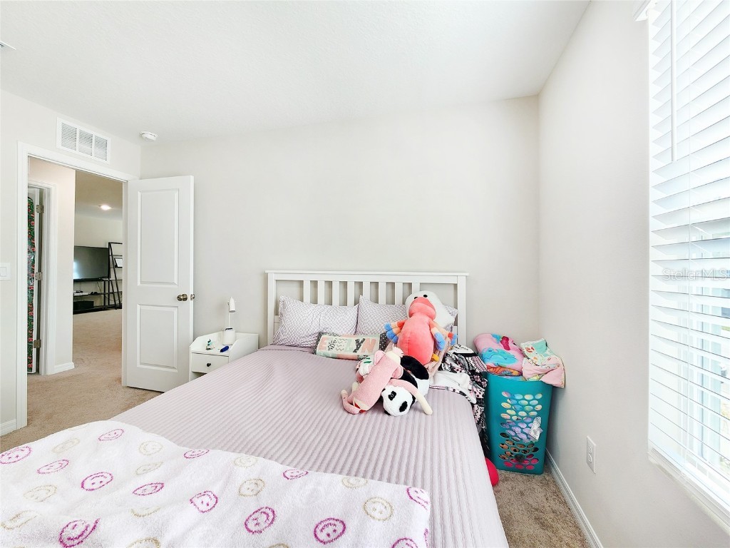 37114 Sagemoor Drive Zephyrhills FL 33541 TB8454957 image41