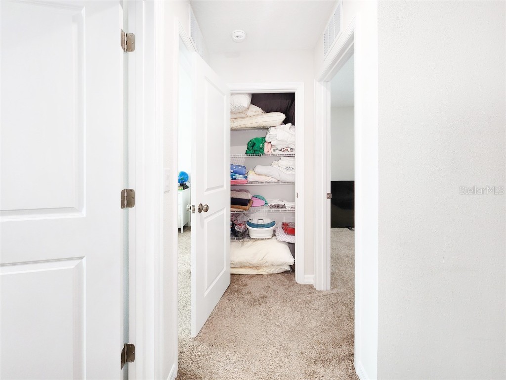 37114 Sagemoor Drive Zephyrhills FL 33541 TB8454957 image42