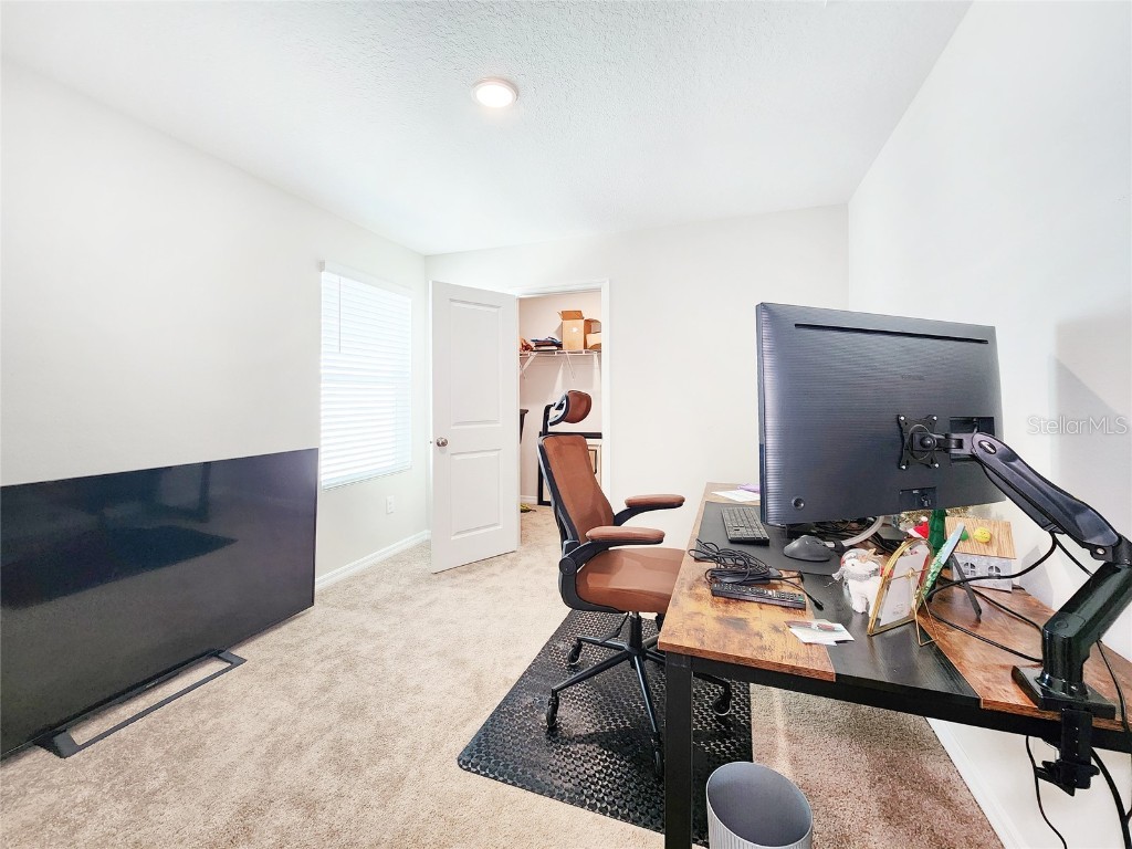 37114 Sagemoor Drive Zephyrhills FL 33541 TB8454957 image43