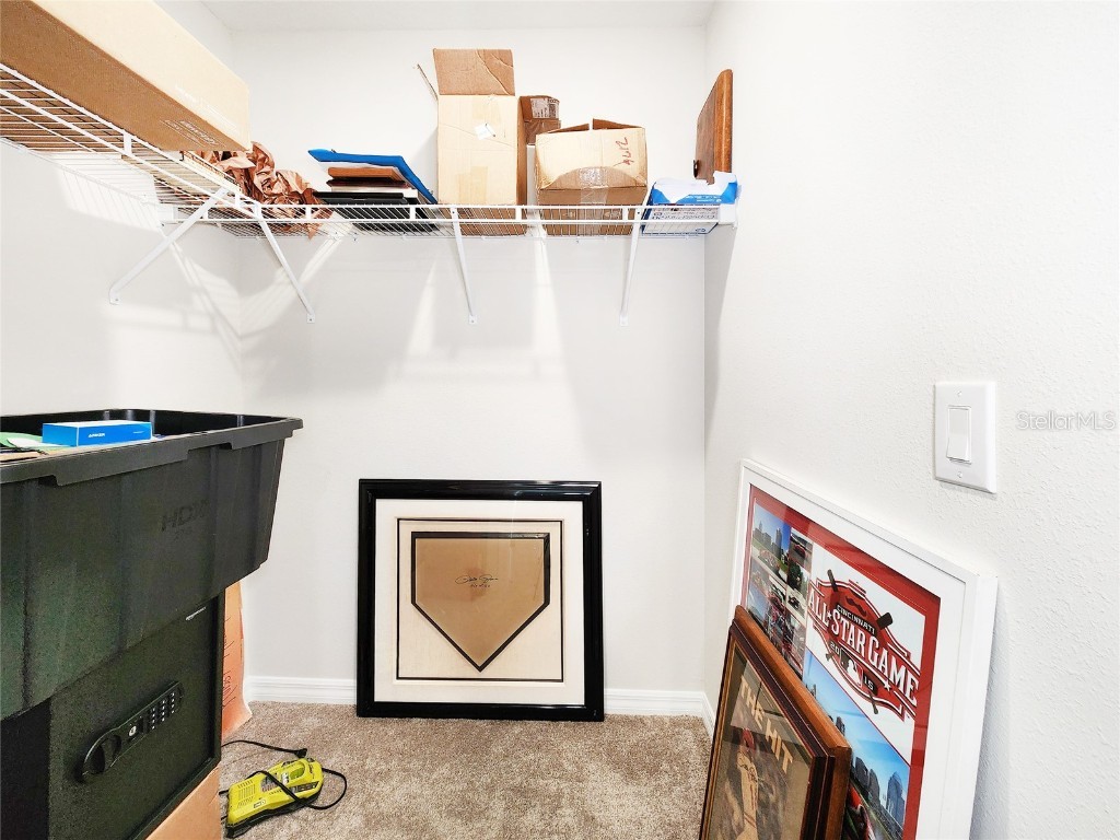 37114 Sagemoor Drive Zephyrhills FL 33541 TB8454957 image44