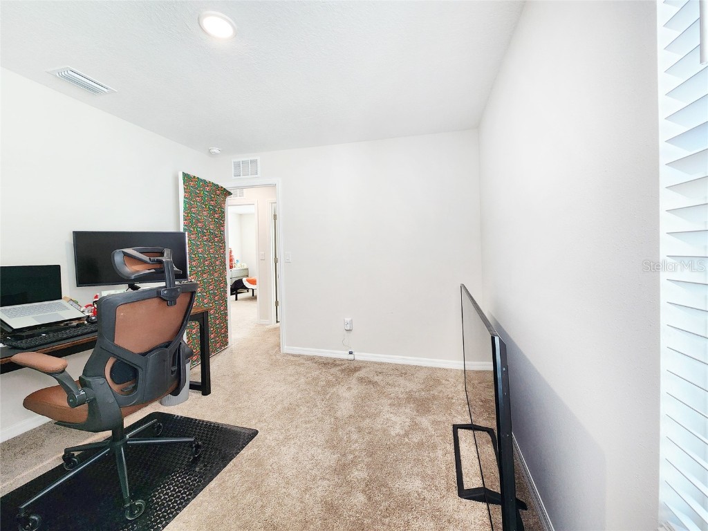 37114 Sagemoor Drive Zephyrhills FL 33541 TB8454957 image45