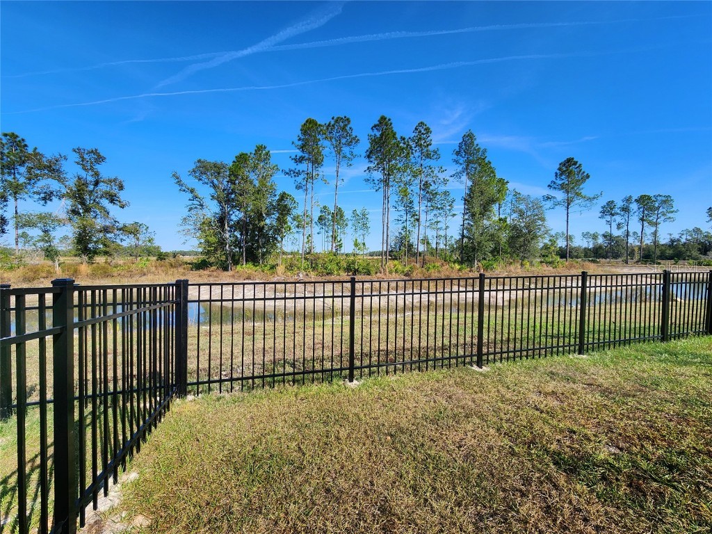 37114 Sagemoor Drive Zephyrhills FL 33541 TB8454957 image50