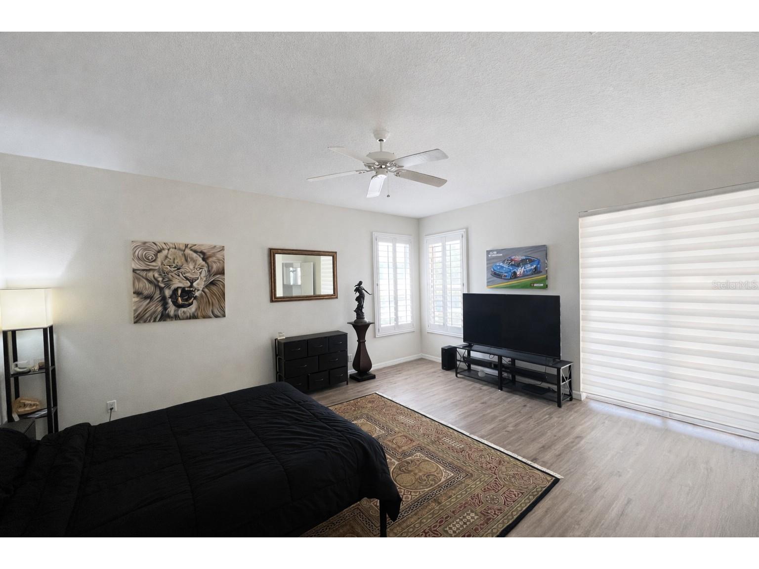 3712 Doral Street Palm Harbor FL 34685 A4689611 image48