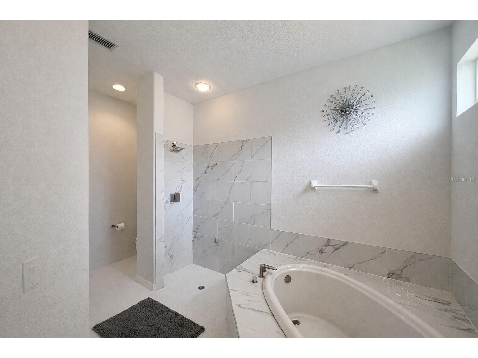 3712 Doral Street Palm Harbor FL 34685 A4689611 image50