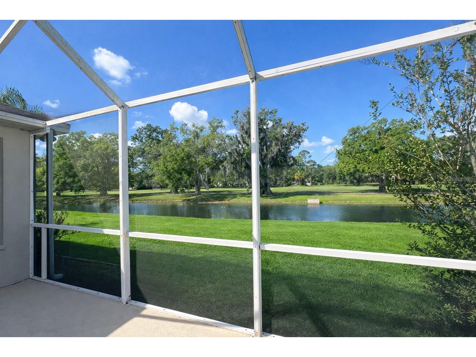 3712 Doral Street Palm Harbor FL 34685 A4689611 image53